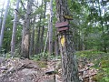 Elwell Trail NH 2010 185